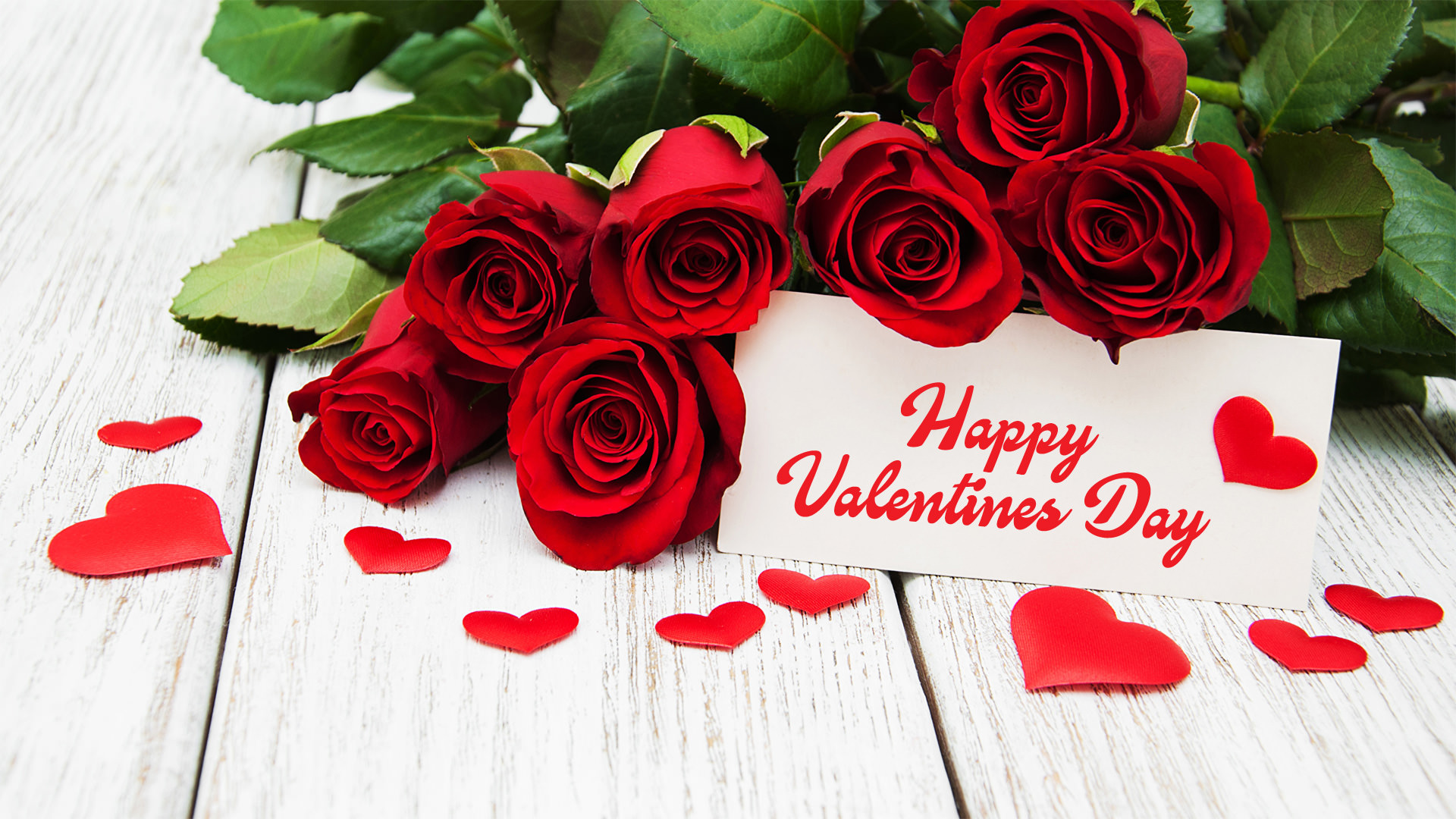 Valentine Rose Wallpaper - Red Rose Flowers Template - HD Wallpaper 