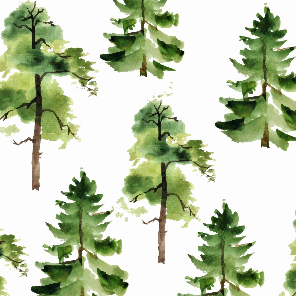 Pine Tree Wallpaper Nursery - HD Wallpaper 