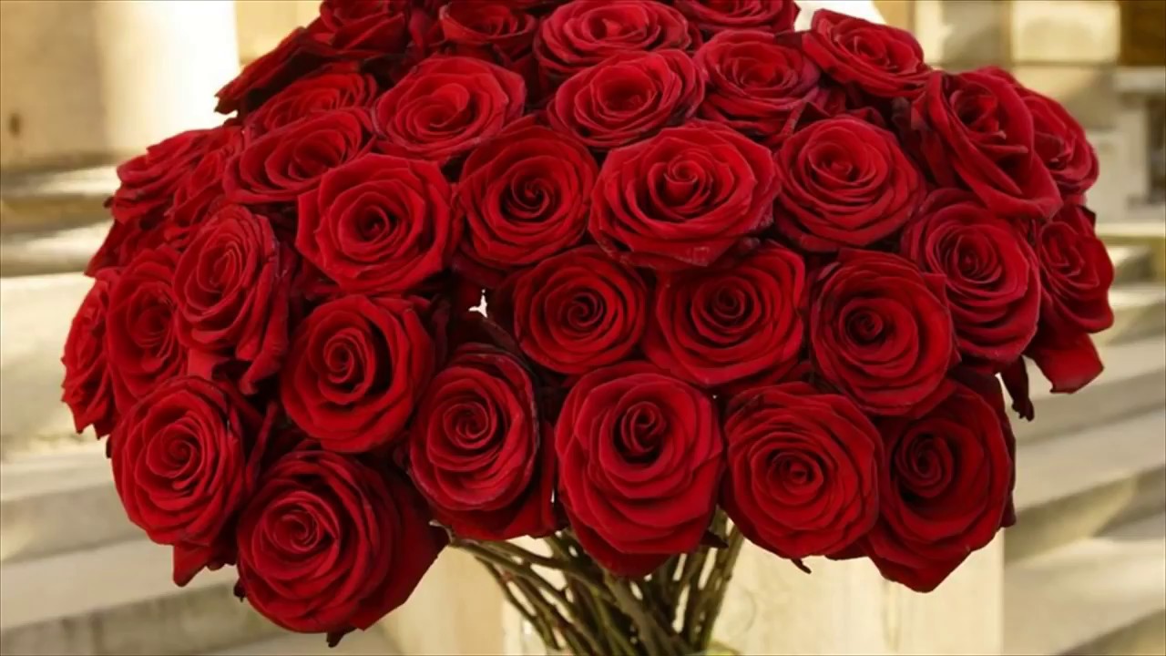 Bunch Of Red Rose Hd - HD Wallpaper 