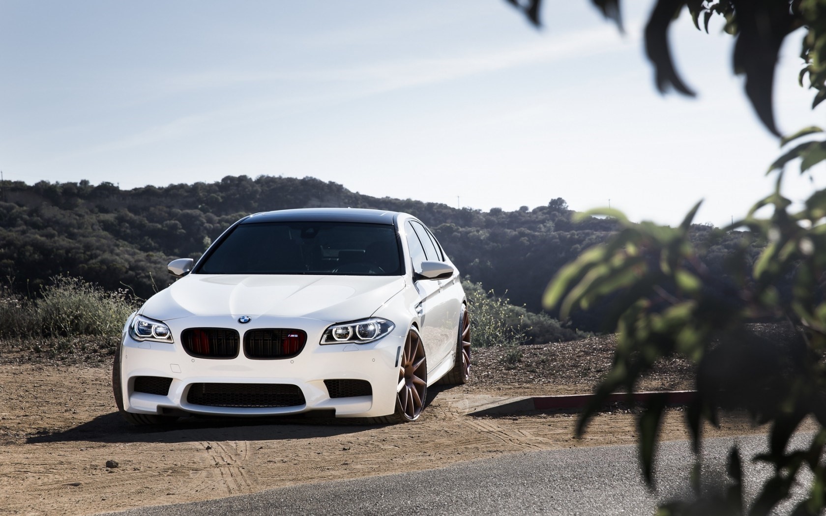 Wallpaper Car Bmw M5 F10 White Bmw Front Hd Picture - Bmw F10 White Wallper - HD Wallpaper 