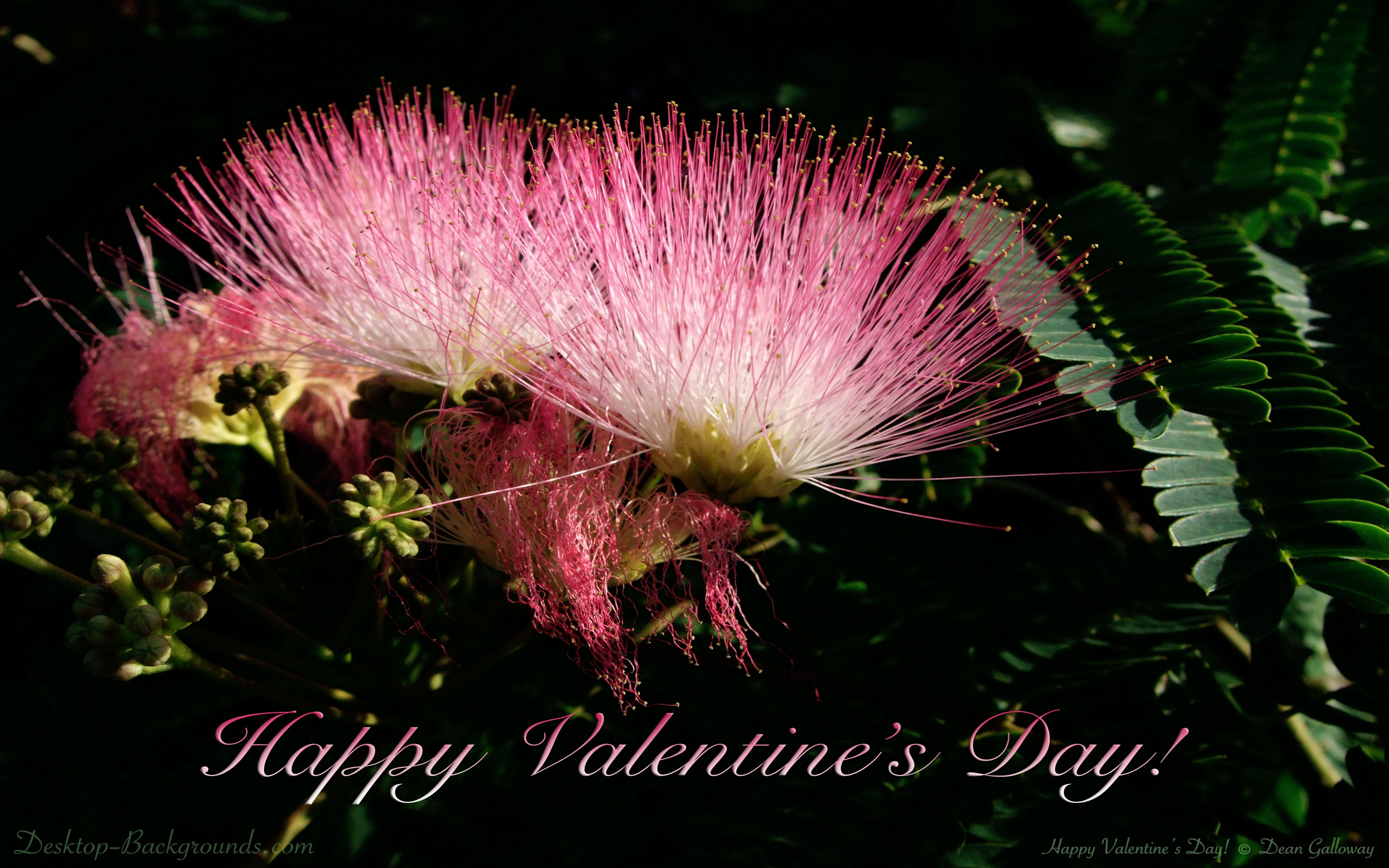 Whittlebury Hall Hotel, Spa And Management Training - HD Wallpaper 