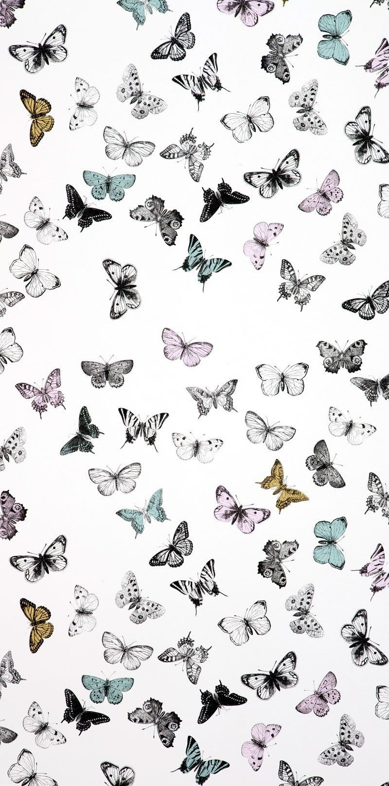 Butterfly Backgrounds For Iphone - HD Wallpaper 