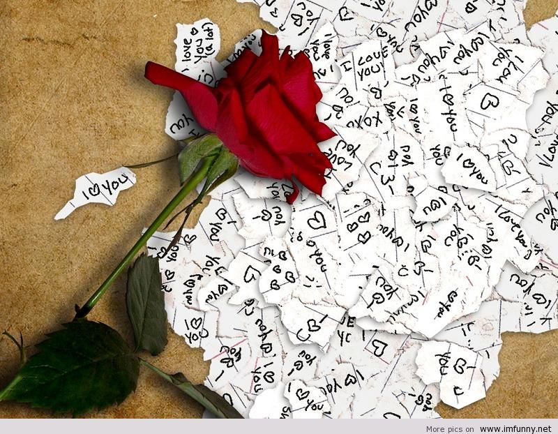 Raji Name I Love You - 800x622 Wallpaper Raji Name I Love You - 800x622 Wallpaper