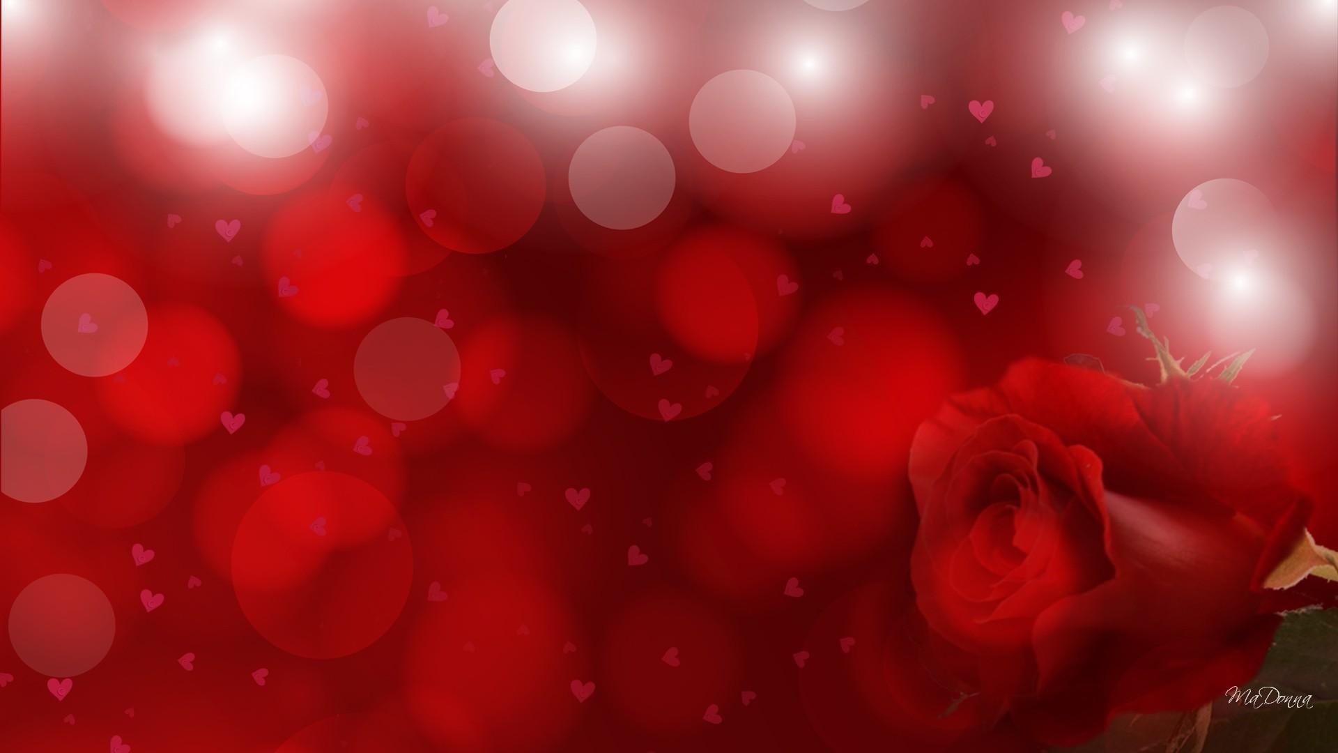 Valentine Special - Red Sparkle Rose Background Hd - HD Wallpaper 