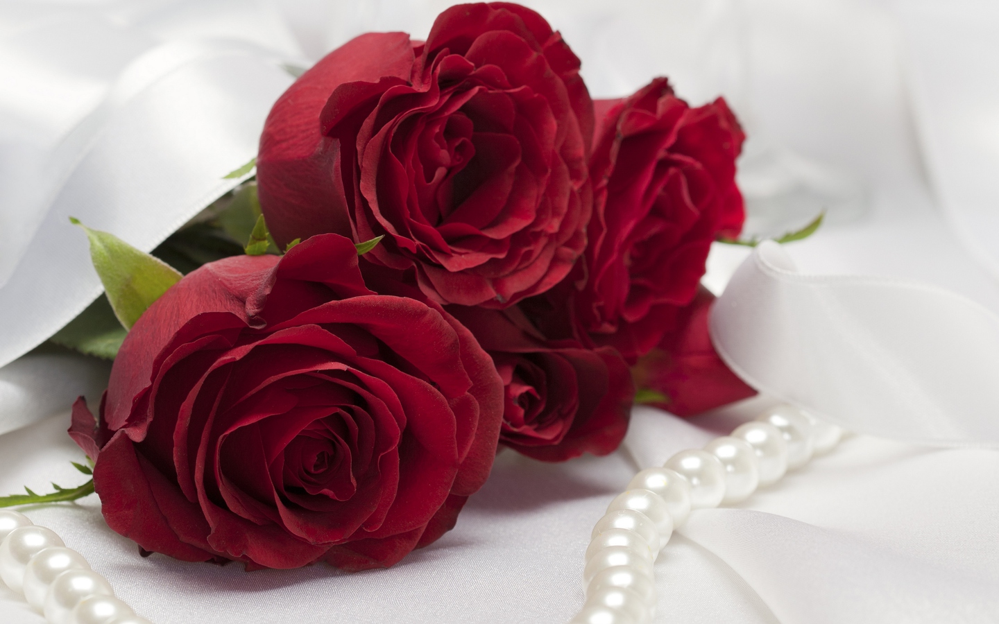 Hd Wallpapers Free Romantic Valentine S Day Red Rose - HD Wallpaper 