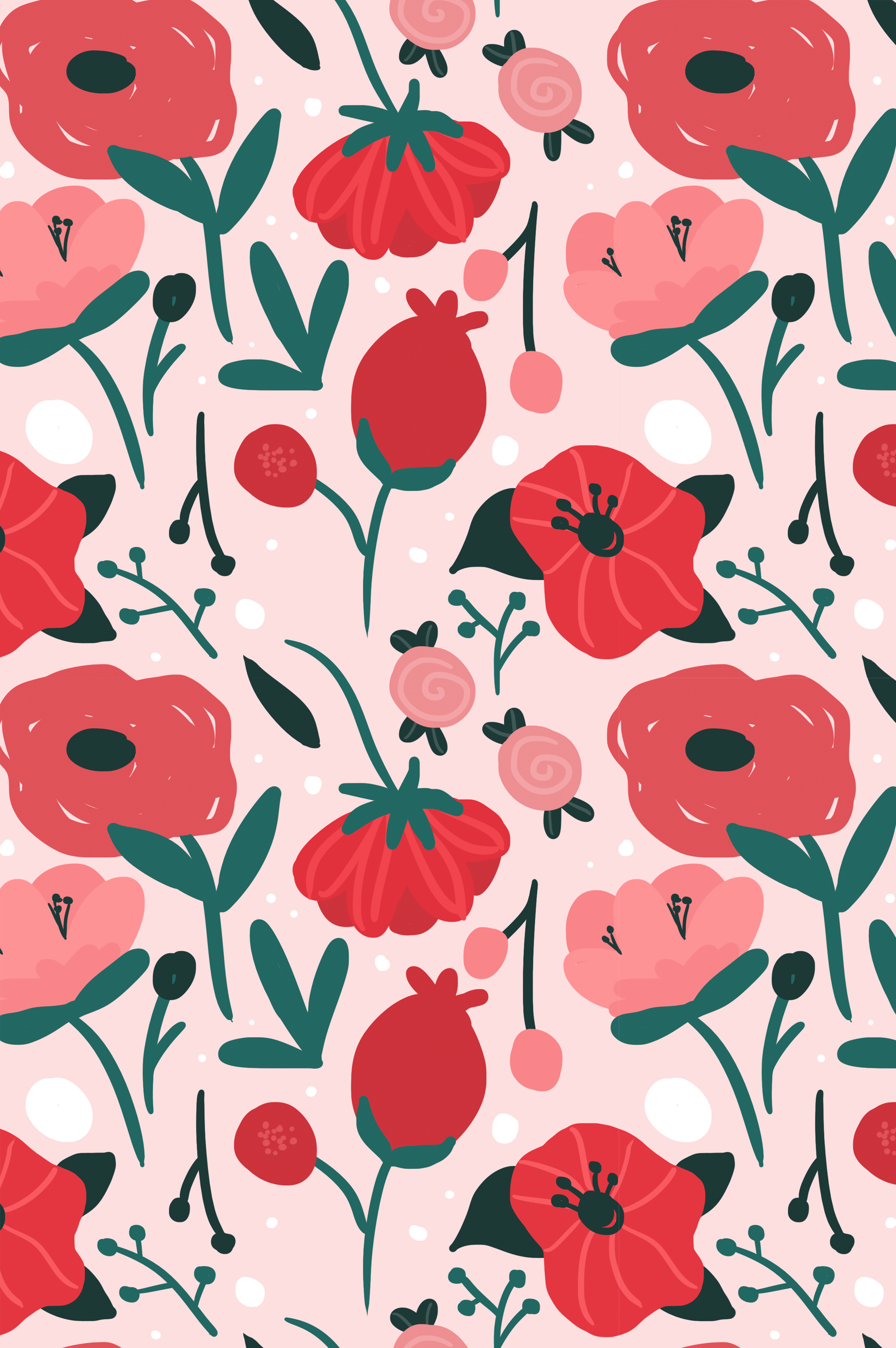 Impatiens - HD Wallpaper 