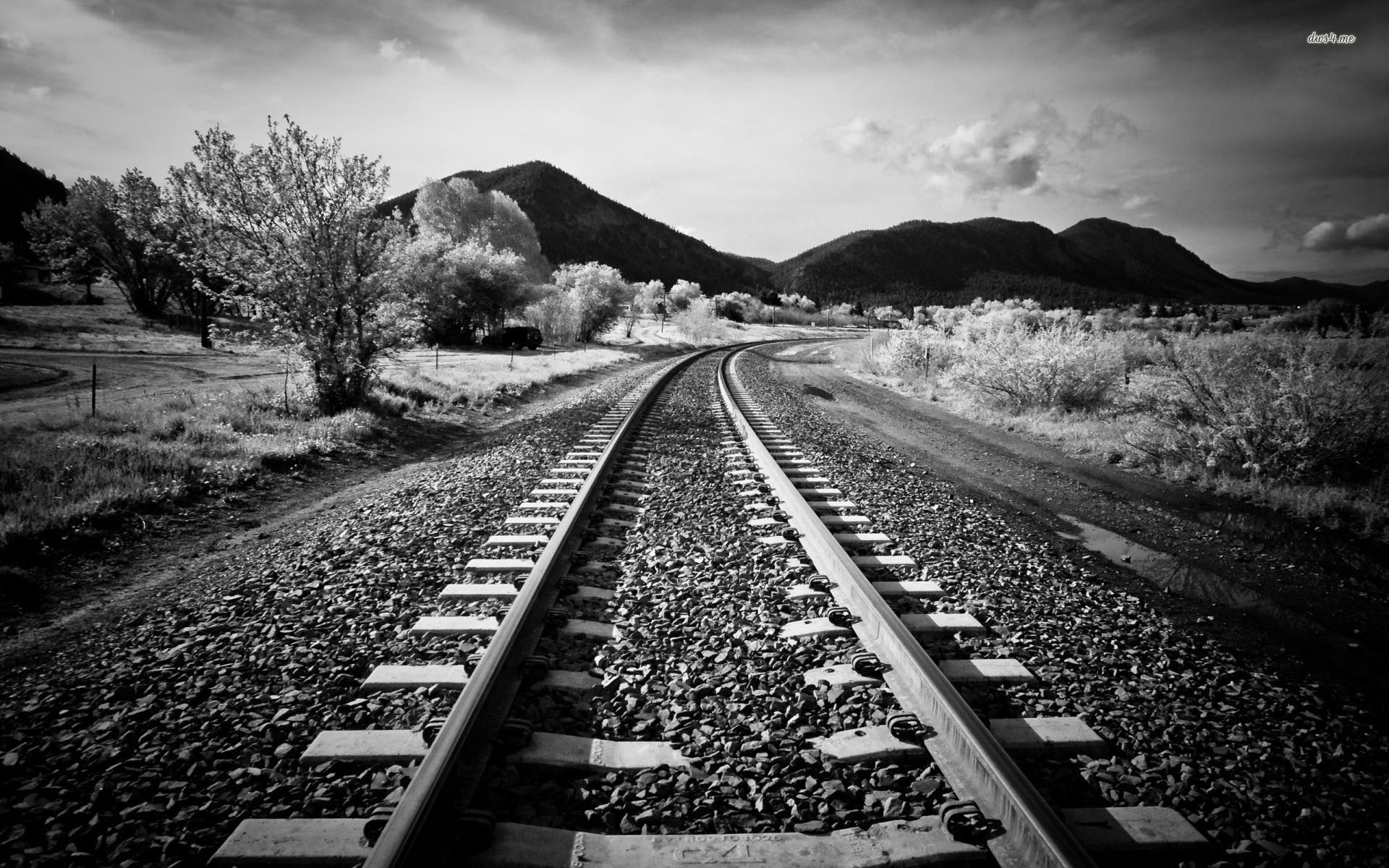 B And W - HD Wallpaper 