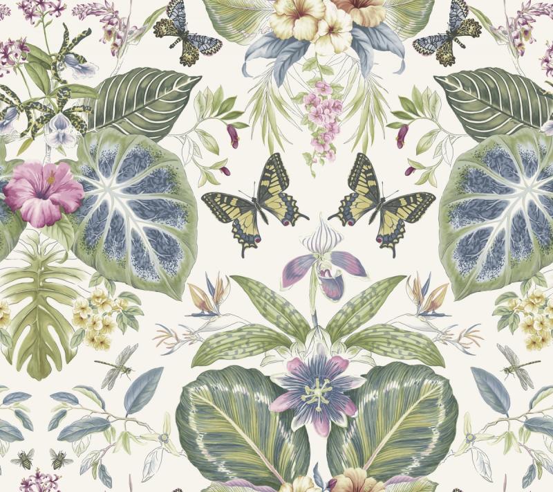 Tropical Butterflies On1603 York Wallpaper On1603 - York Wallcovering On1603 - HD Wallpaper 