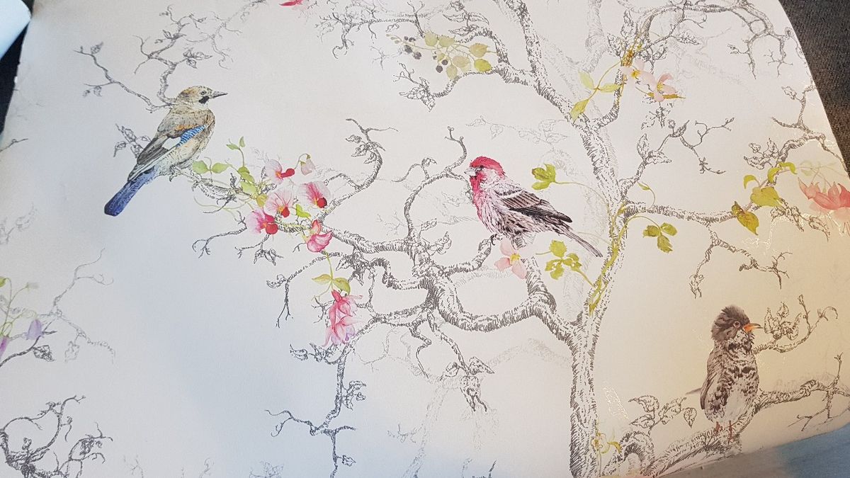 Bird Wallpaper From B And Q
sells At £20 Per Roll
got - Sketch - HD Wallpaper 