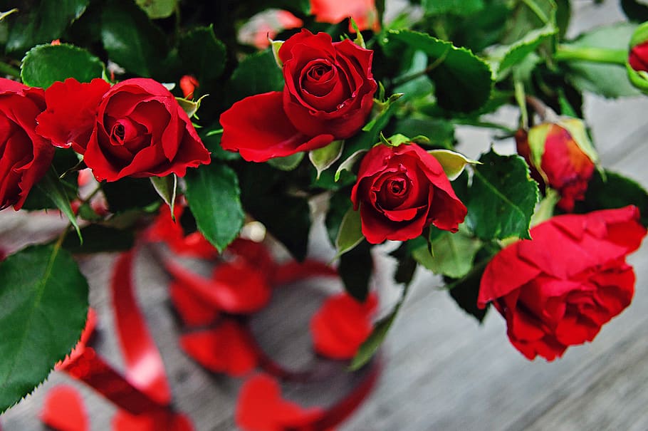 Rose, Valentine S, Valentine S Day, Romantic, Romance, - Romantic Valentines Day Roses - HD Wallpaper 