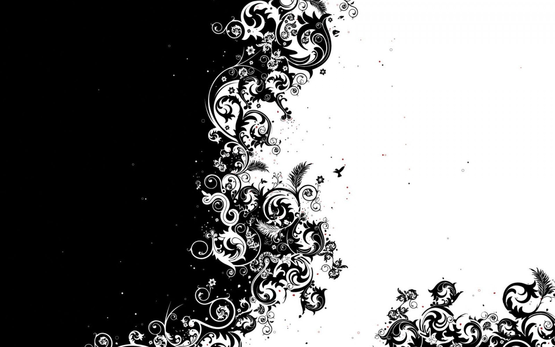 Black White Background - Black And White Beauty Background - HD Wallpaper 