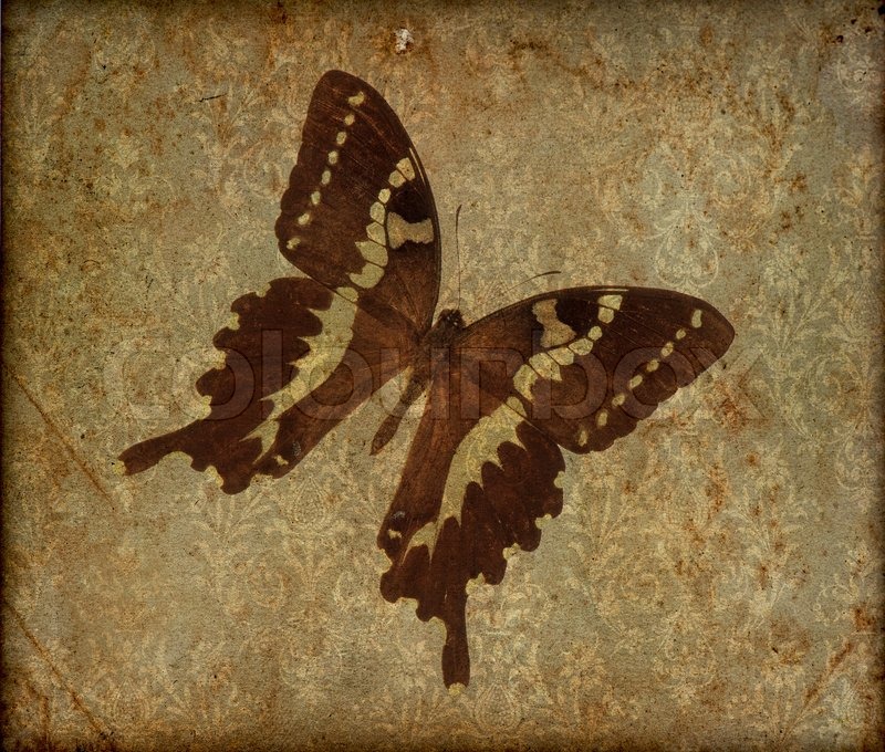 Old Vintage Background Butterfly - HD Wallpaper 