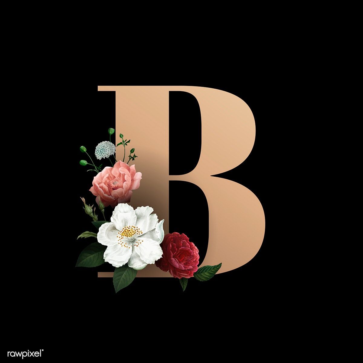 B Letter - HD Wallpaper 