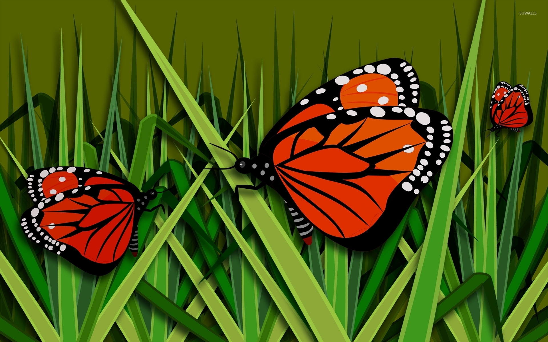 Butterfly - HD Wallpaper 