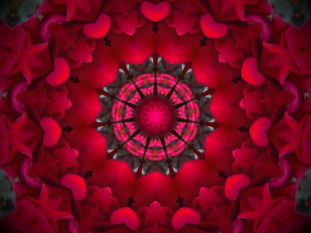 Floral Design - HD Wallpaper 