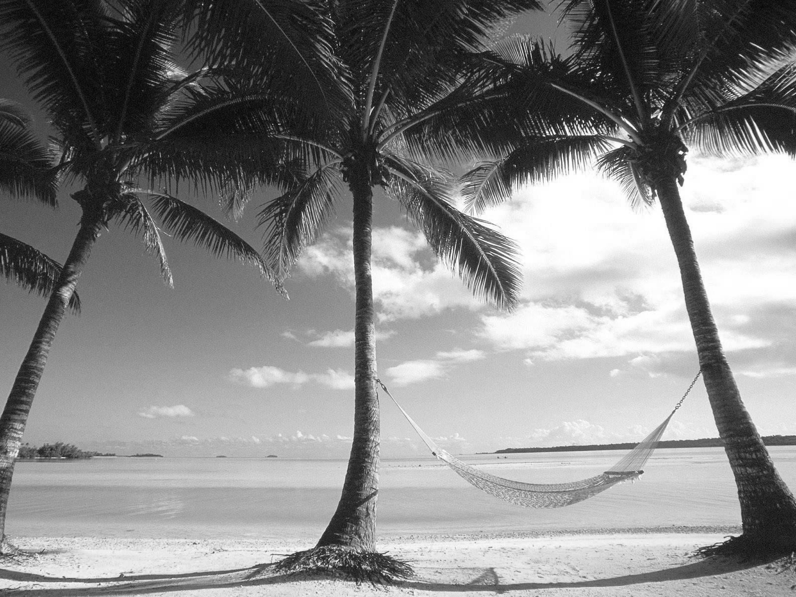 Beach In Black And White - HD Wallpaper 
