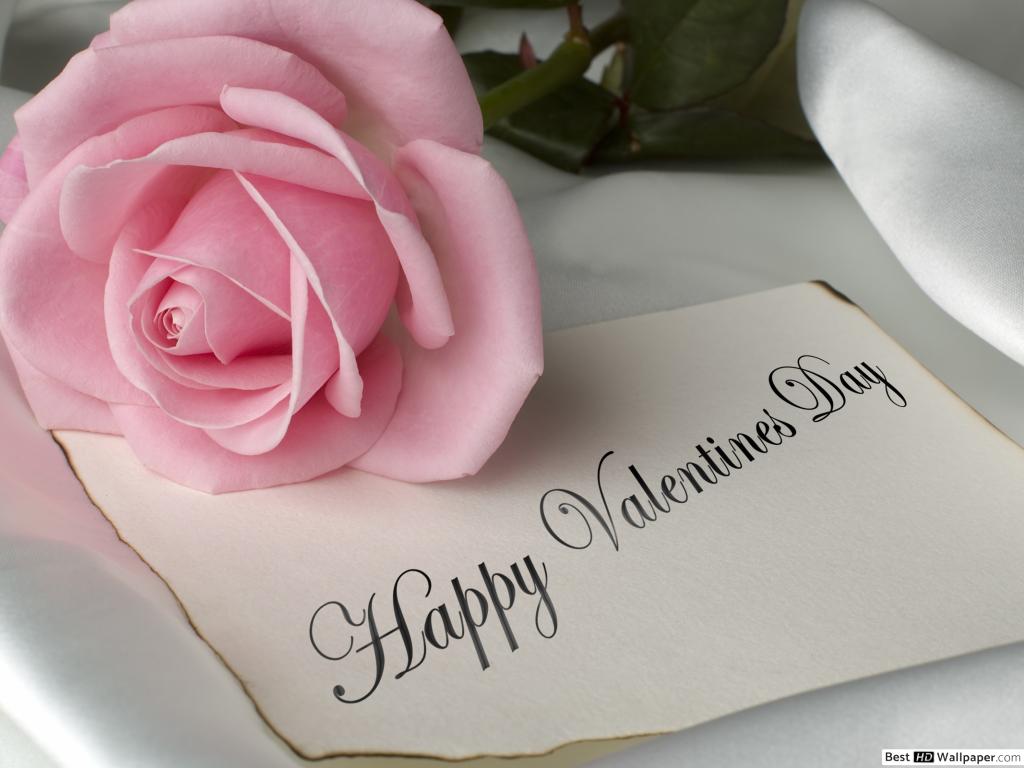 Rose Happy Valentine Day - HD Wallpaper 