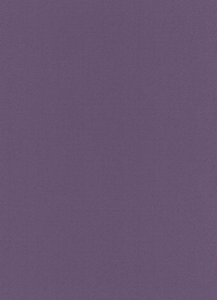 Plain Purple - HD Wallpaper 
