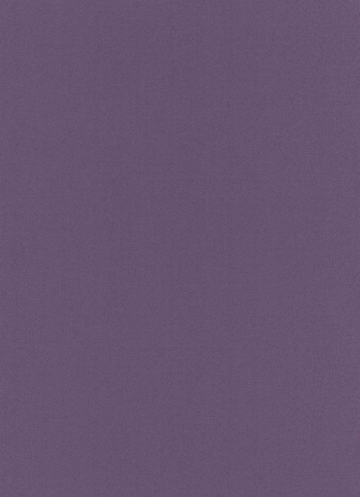 Plain Purple - HD Wallpaper 