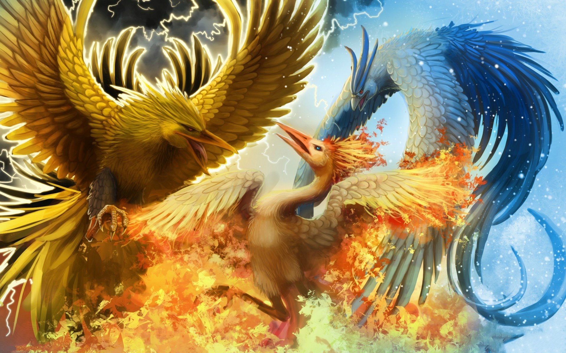 Phoenix Bird - HD Wallpaper 