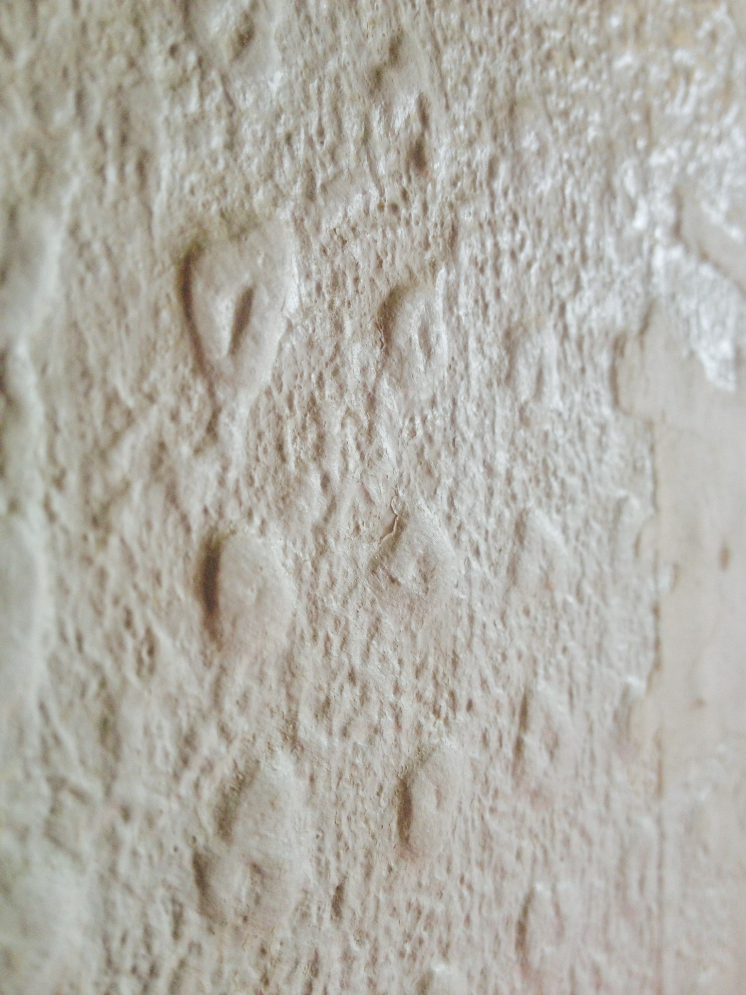 Asbestos Wallpaper Uk 1536x2048 Wallpaper teahub.io