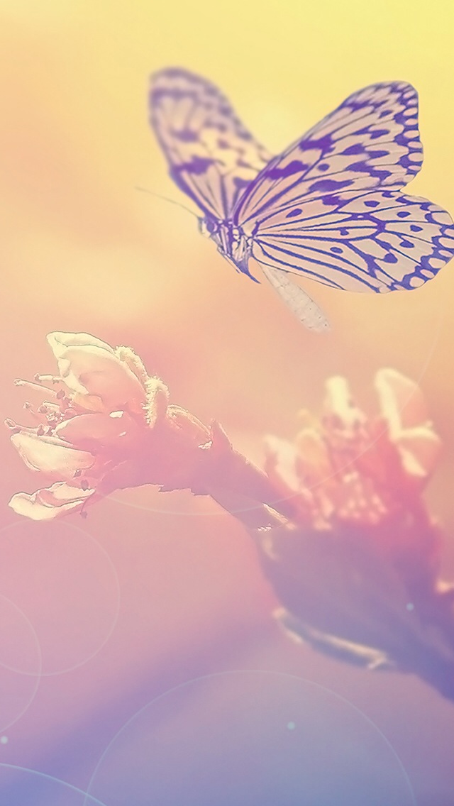 Fairy Blur Flower Butterfly Iphone Wallpaper - Butterfly And Flowers Iphone - HD Wallpaper 