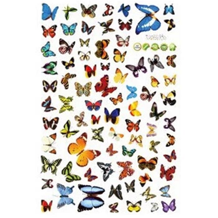 Colorful Butterfly Wallpapers Reviews - Warna Warni Kupu Kupu - HD Wallpaper 