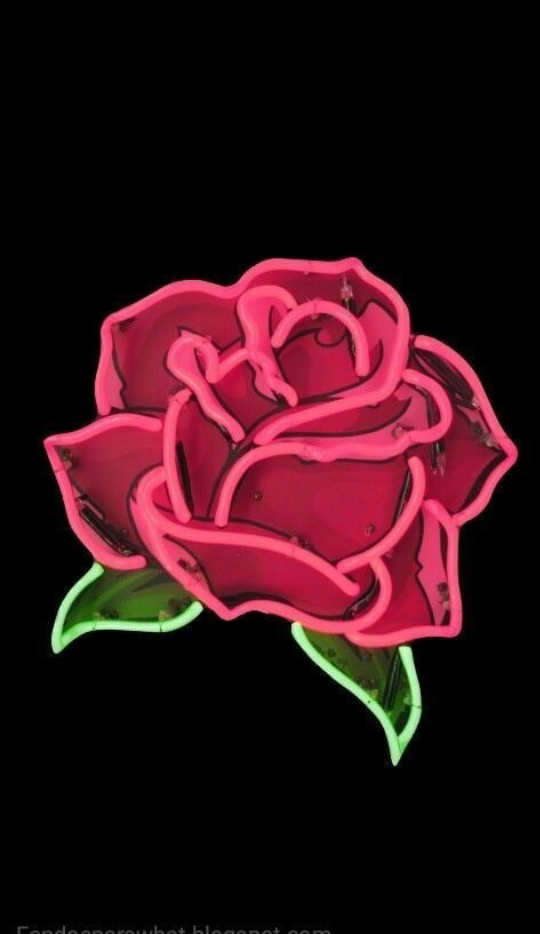 Rose, Wallpaper, And Neon Image - Cool Rose Backgrounds Iphone - HD Wallpaper 