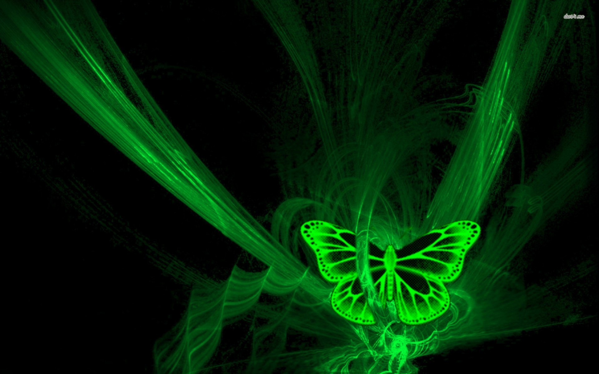 Butterfly Laser Show - HD Wallpaper 