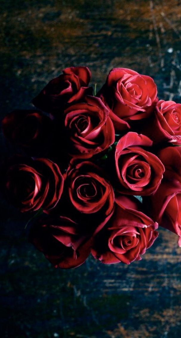 Hd Rose Wallpaper For Android - 607x1136 Wallpaper Hd Rose Wallpaper For Android - 607x1136 Wallpaper