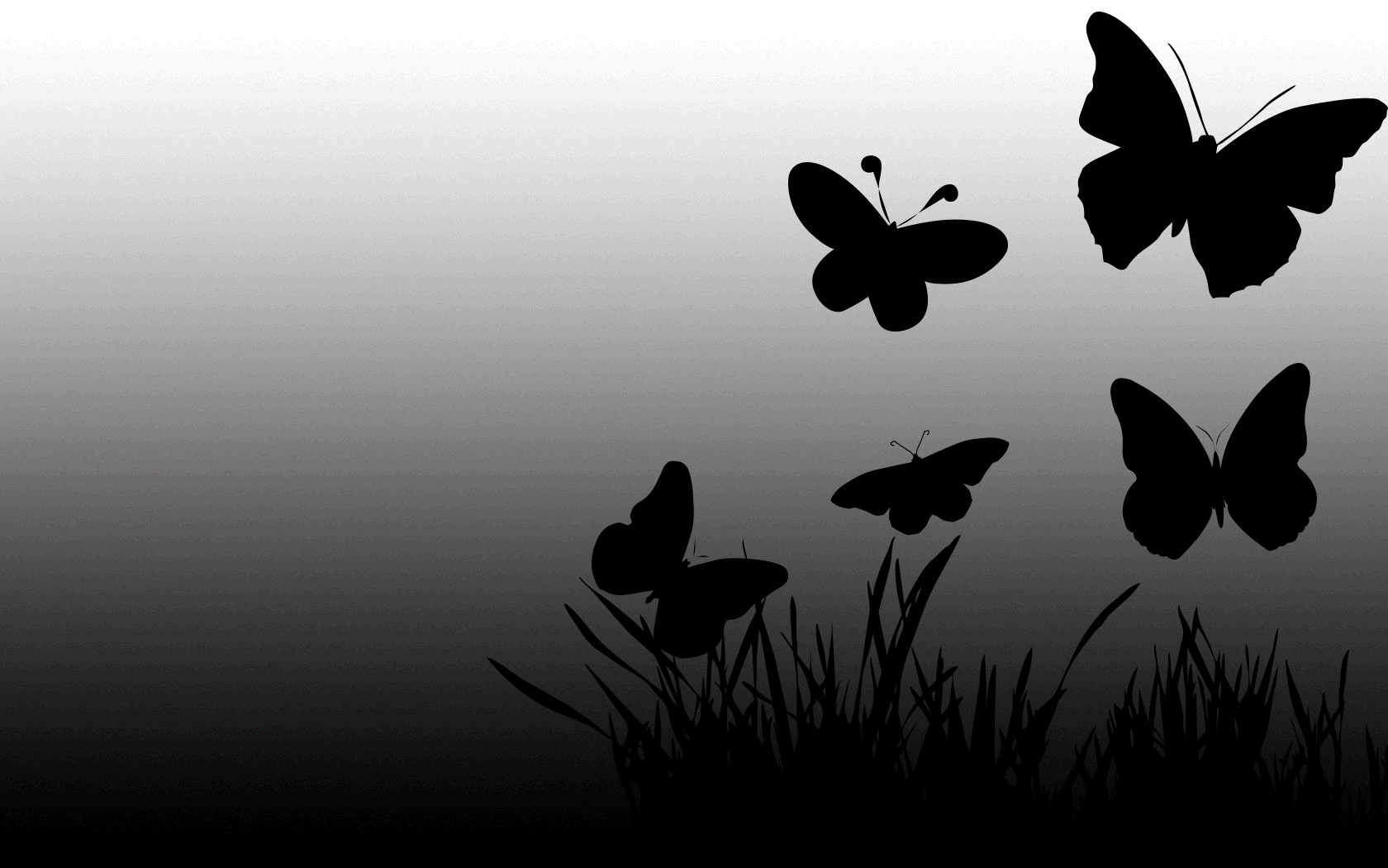 Butterfly Wallpaper B&q - HD Wallpaper 