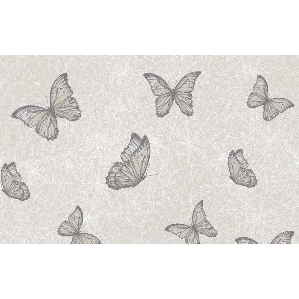Grey And White Butterfly - HD Wallpaper 