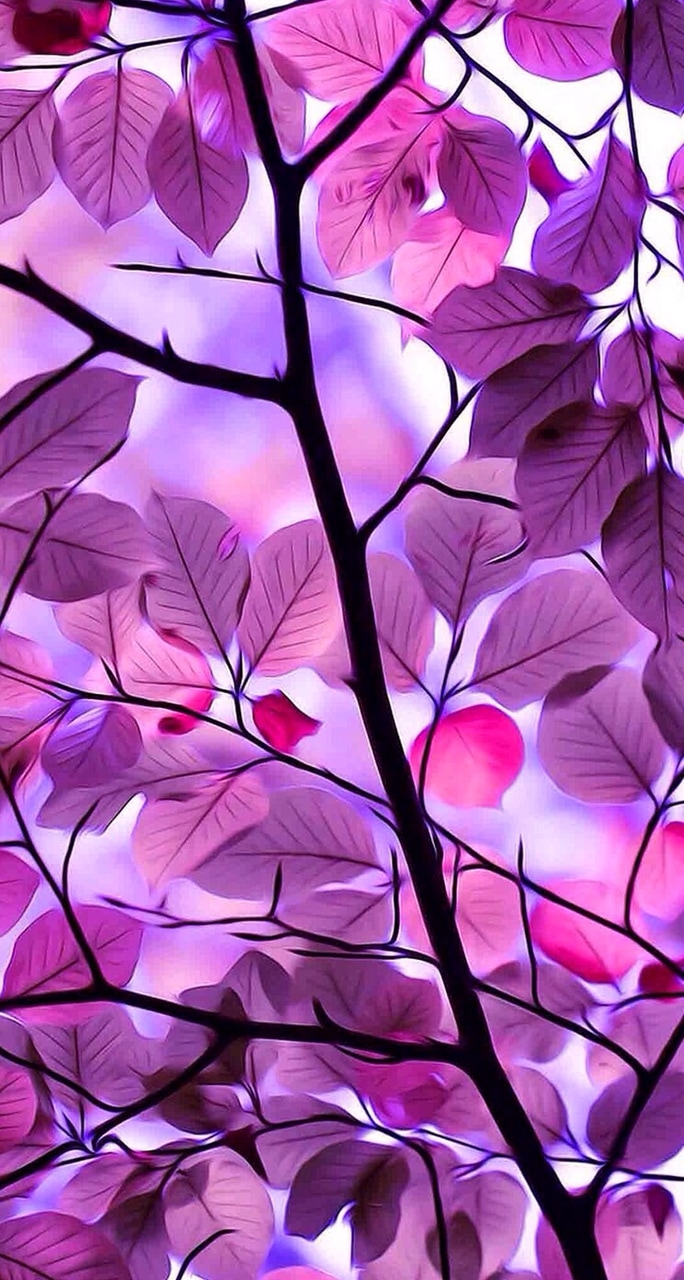 Purple, Wallpaper, And Background Image - Purple Leaves - HD Wallpaper 