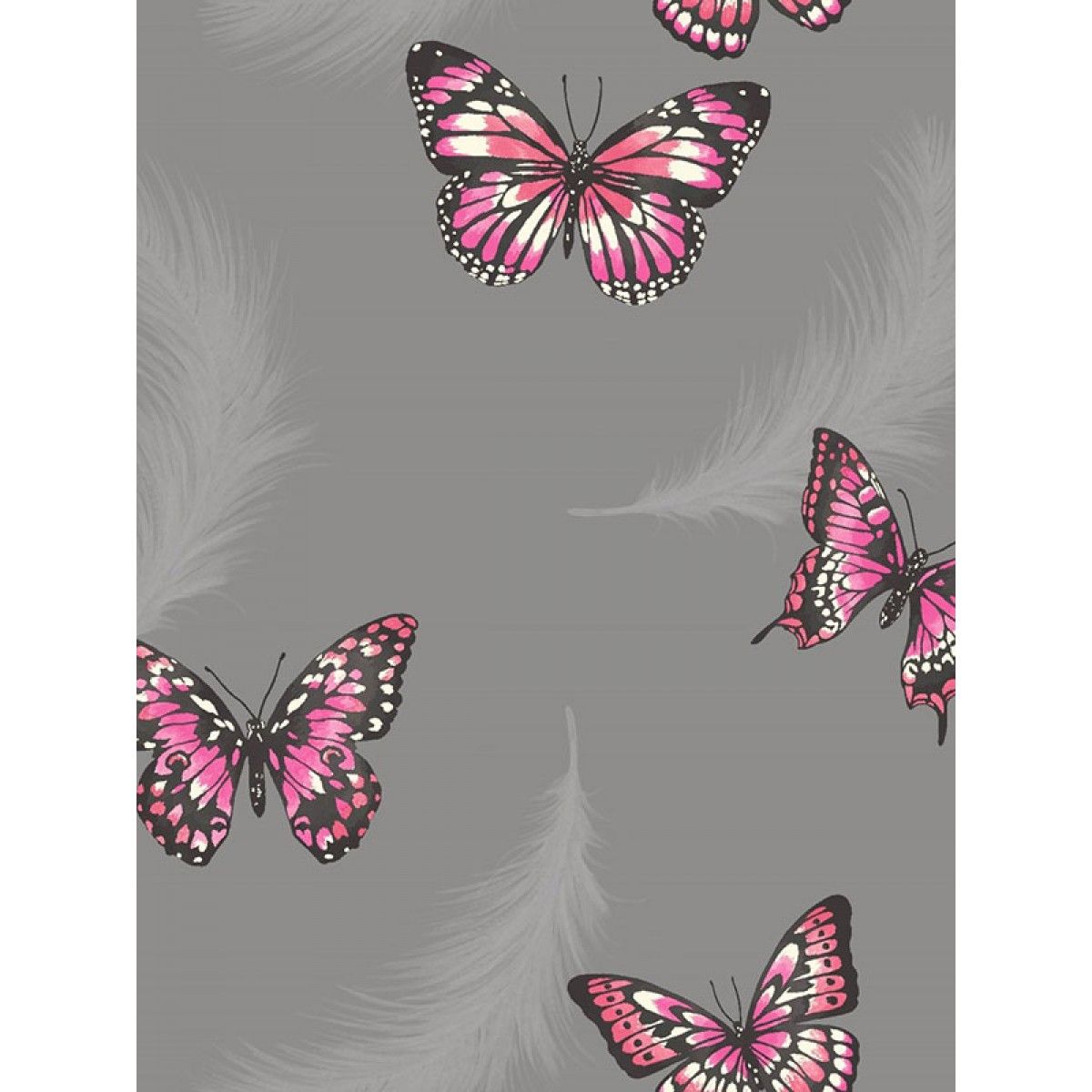 Papilio - HD Wallpaper 