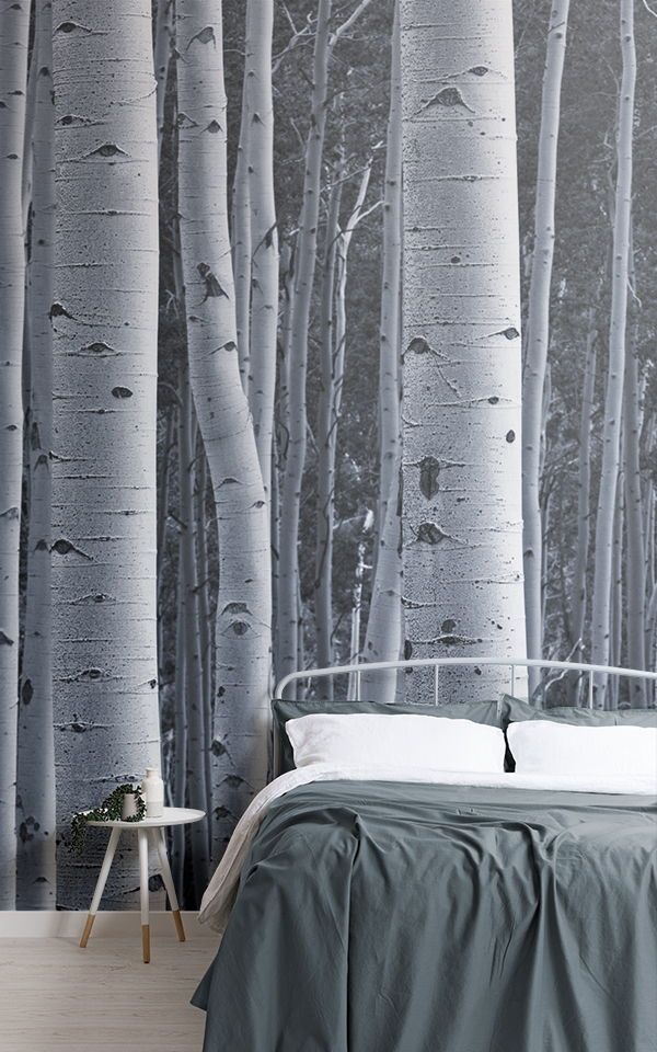 Silver Birch Wallpaper Uk - 600x960 Wallpaper Silver Birch Wallpaper Uk - 600x960 Wallpaper