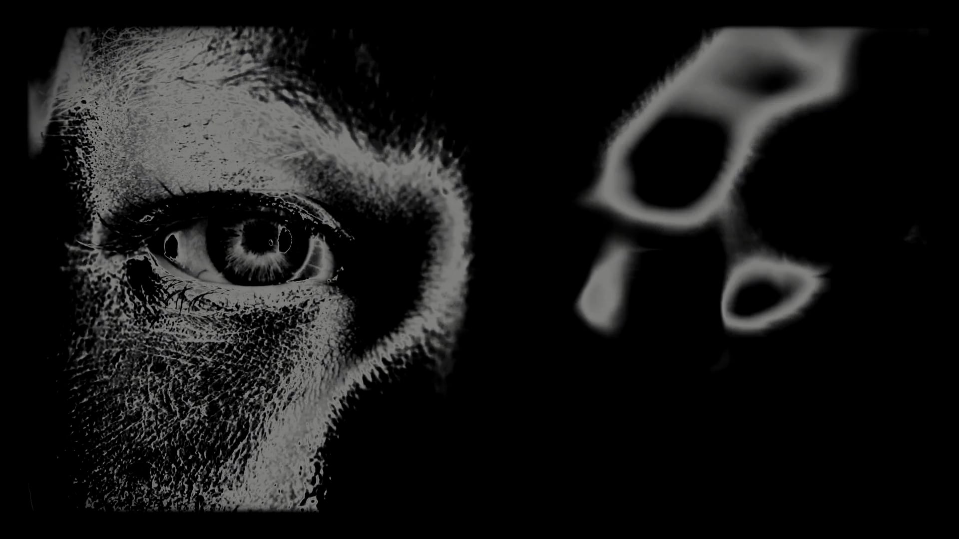 Close-up - HD Wallpaper 