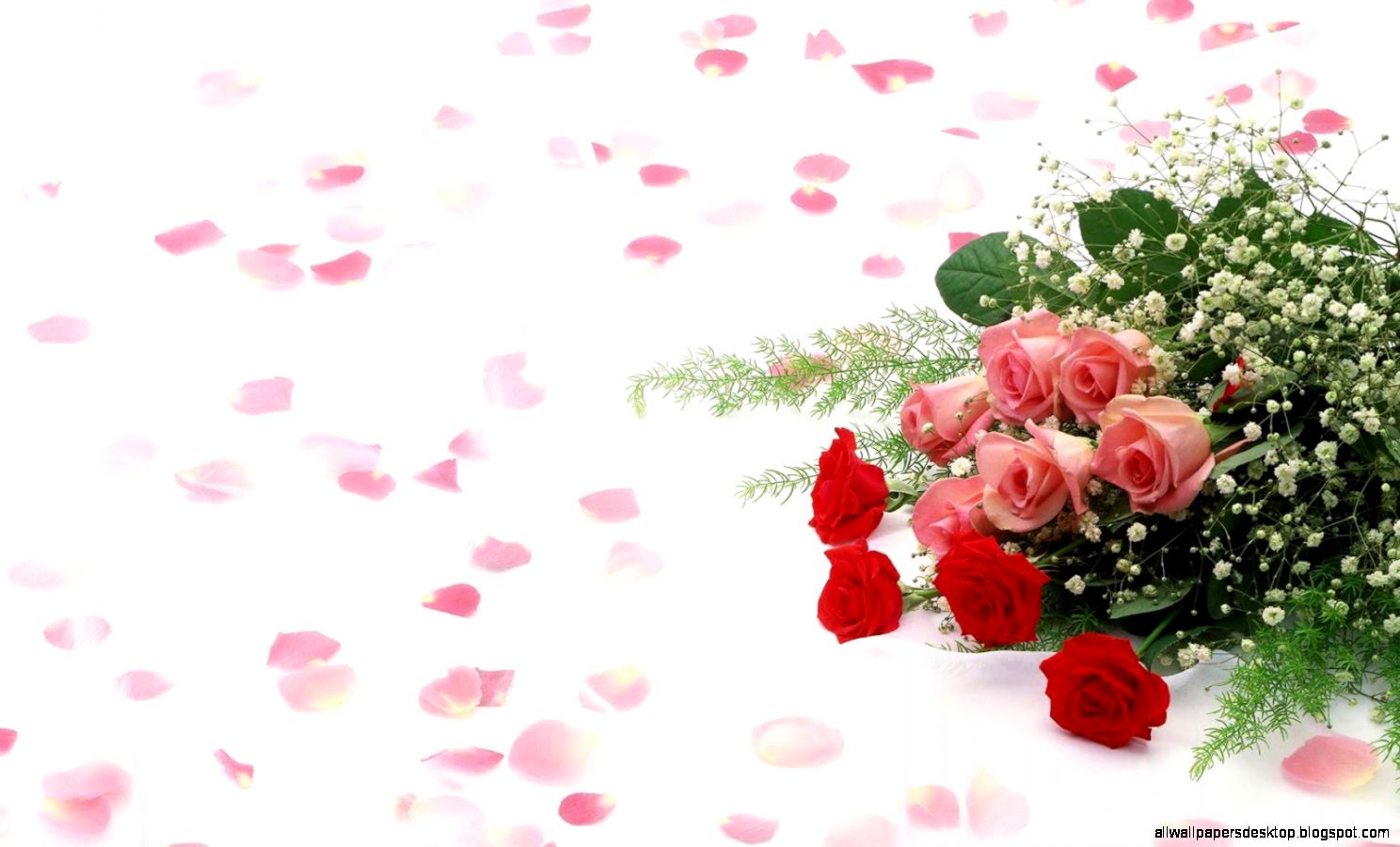 White Background Bouquet Pink Red Roses Flowers Hd - Brother Birthday Wishes Telugu - HD Wallpaper 