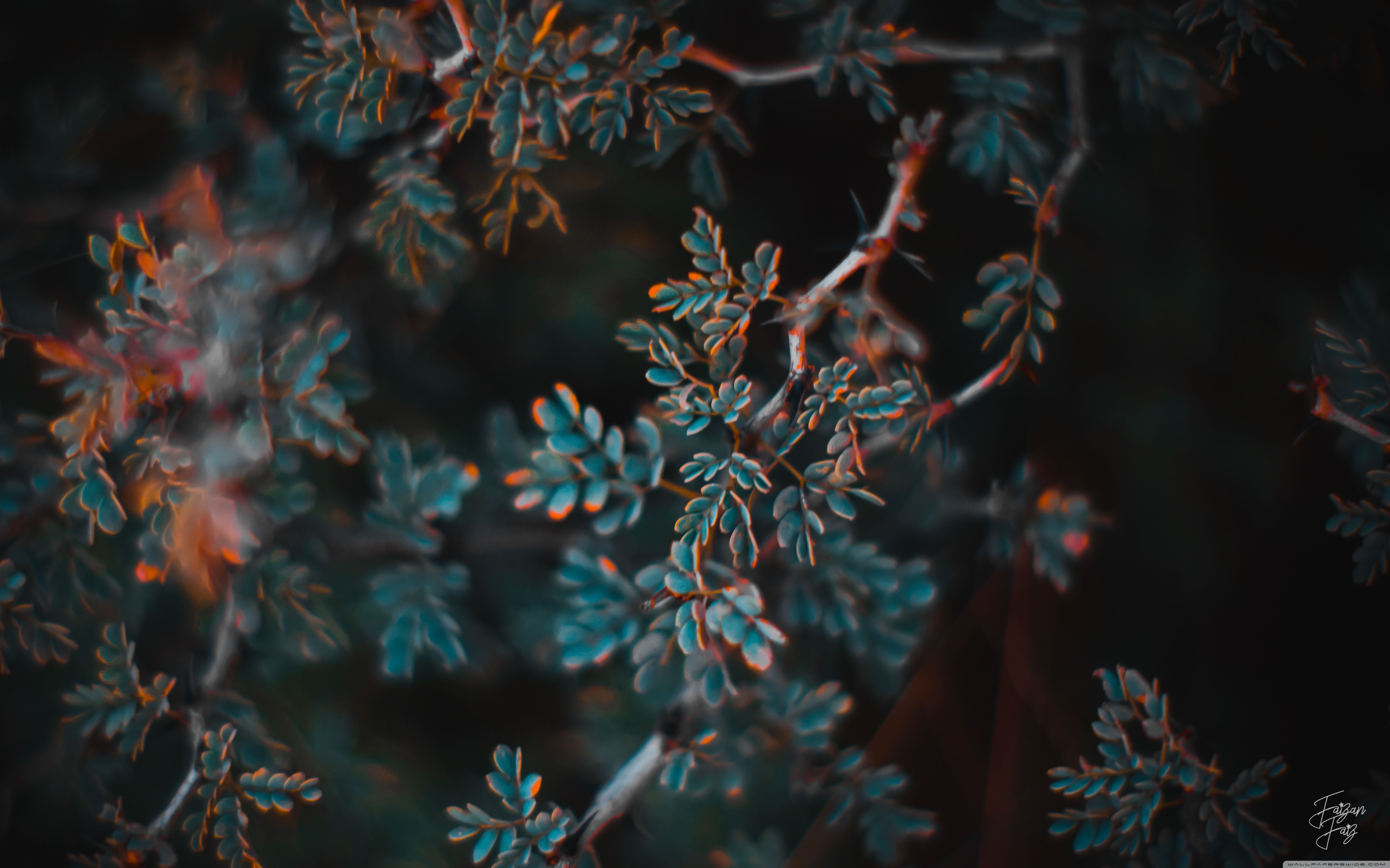 Ultra-high-definition Television - HD Wallpaper 