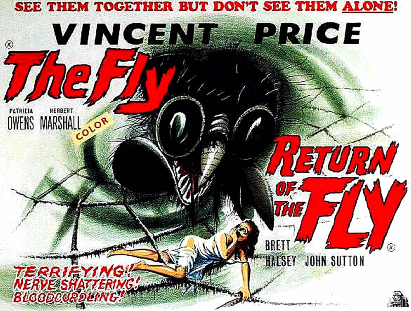 The Fly Return Of The Fly Double Feature - Film Return Of The Fly - HD Wallpaper 