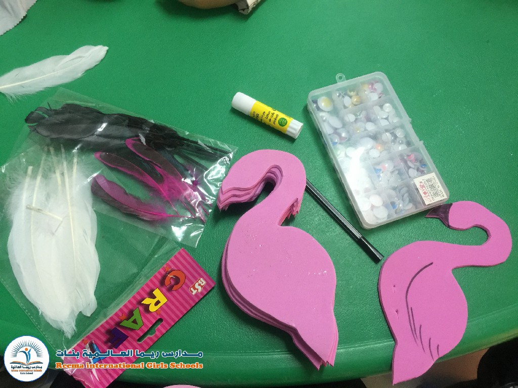 Ciconiiformes - HD Wallpaper 