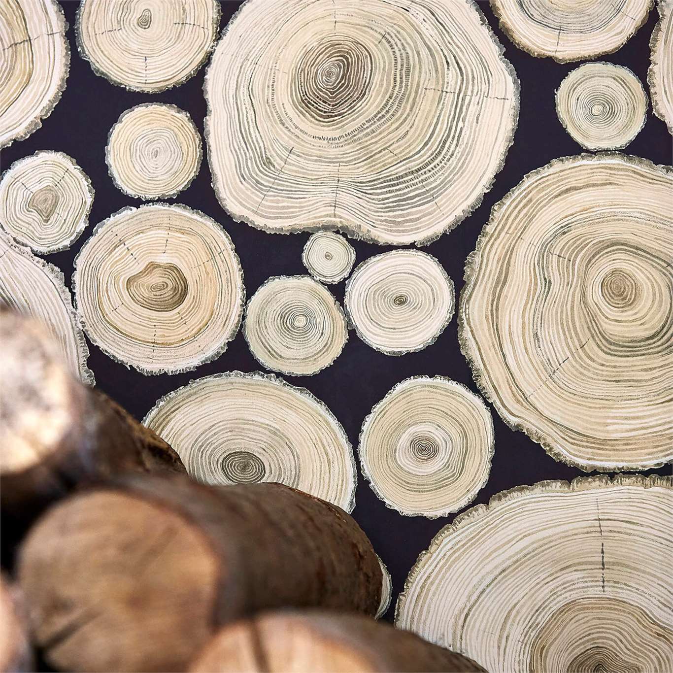 Alnwick Logs, A Wallpaper By Sanderson, Part Of The - Sanderson Wood - HD Wallpaper 