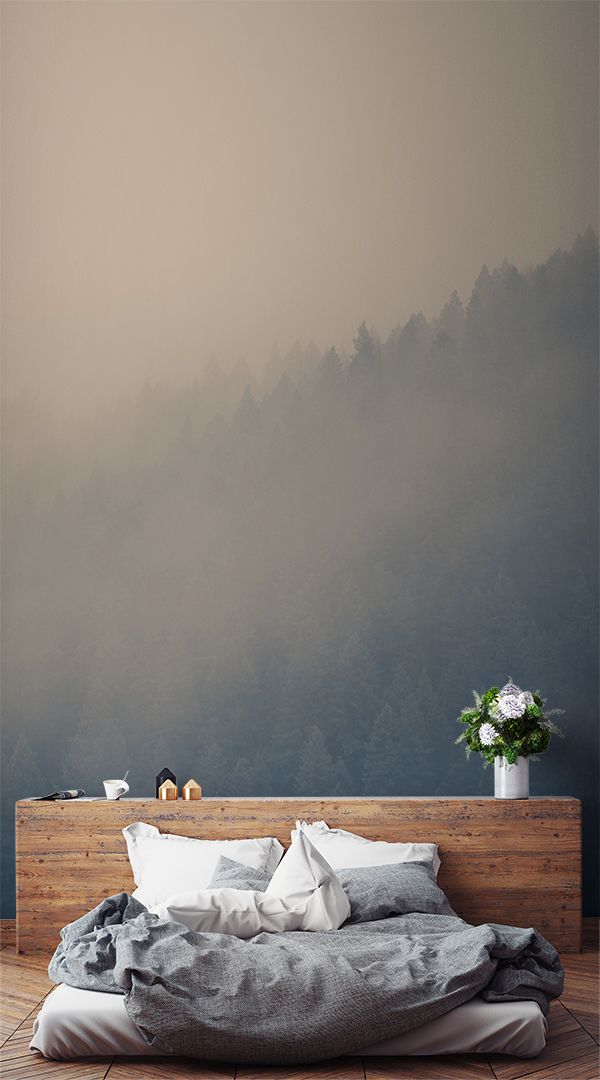 Through The Clouds Forest - HD Wallpaper 