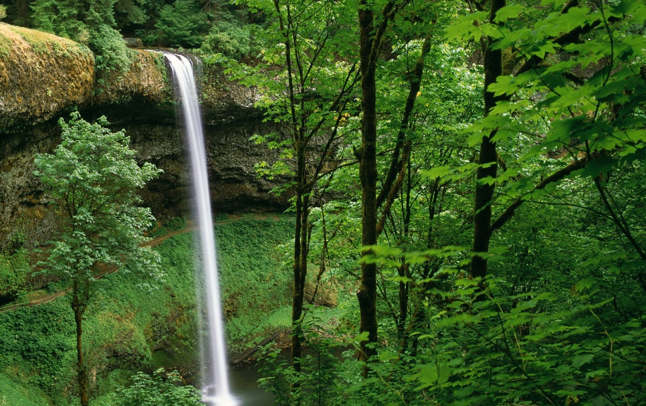 Silver Falls State Park Wallpapers - Silver Falls Oregon - HD Wallpaper 