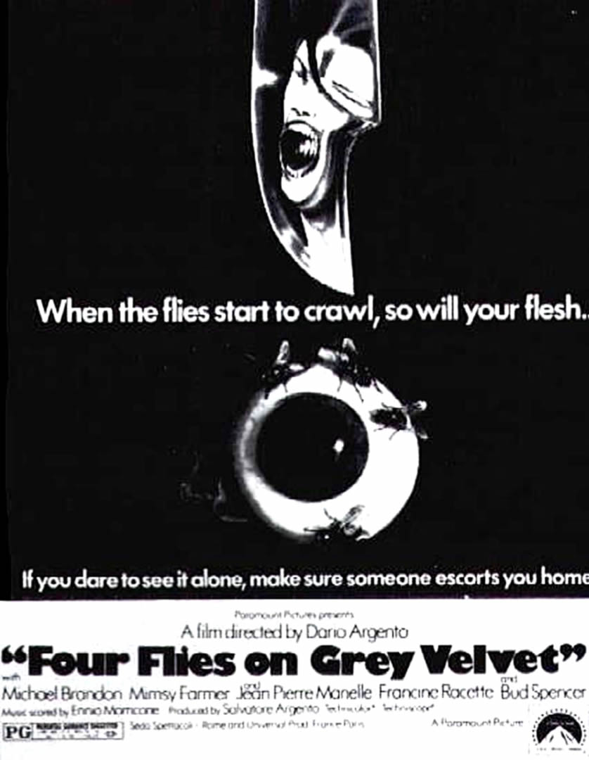 4 Flies On Grey Velvet - Poster - HD Wallpaper 