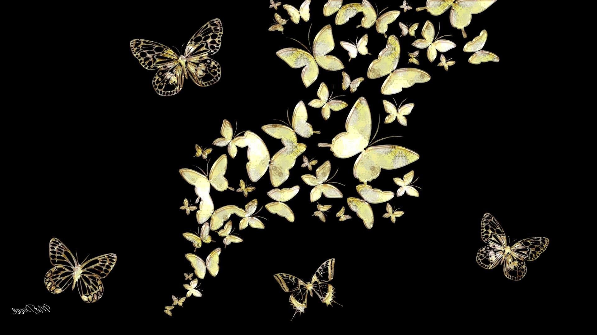 Black Abstract Gold Jewels Butterfly Mirror 
 Data - Black And Gold Butterfly Background - HD Wallpaper 