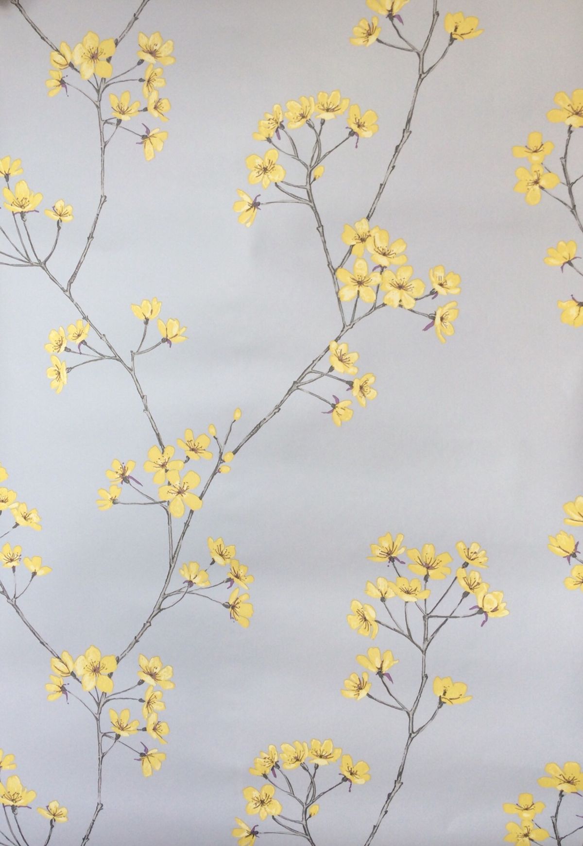 Brand New Homebase Wallpaper From Home Of Colour Range - Tansy - HD Wallpaper 