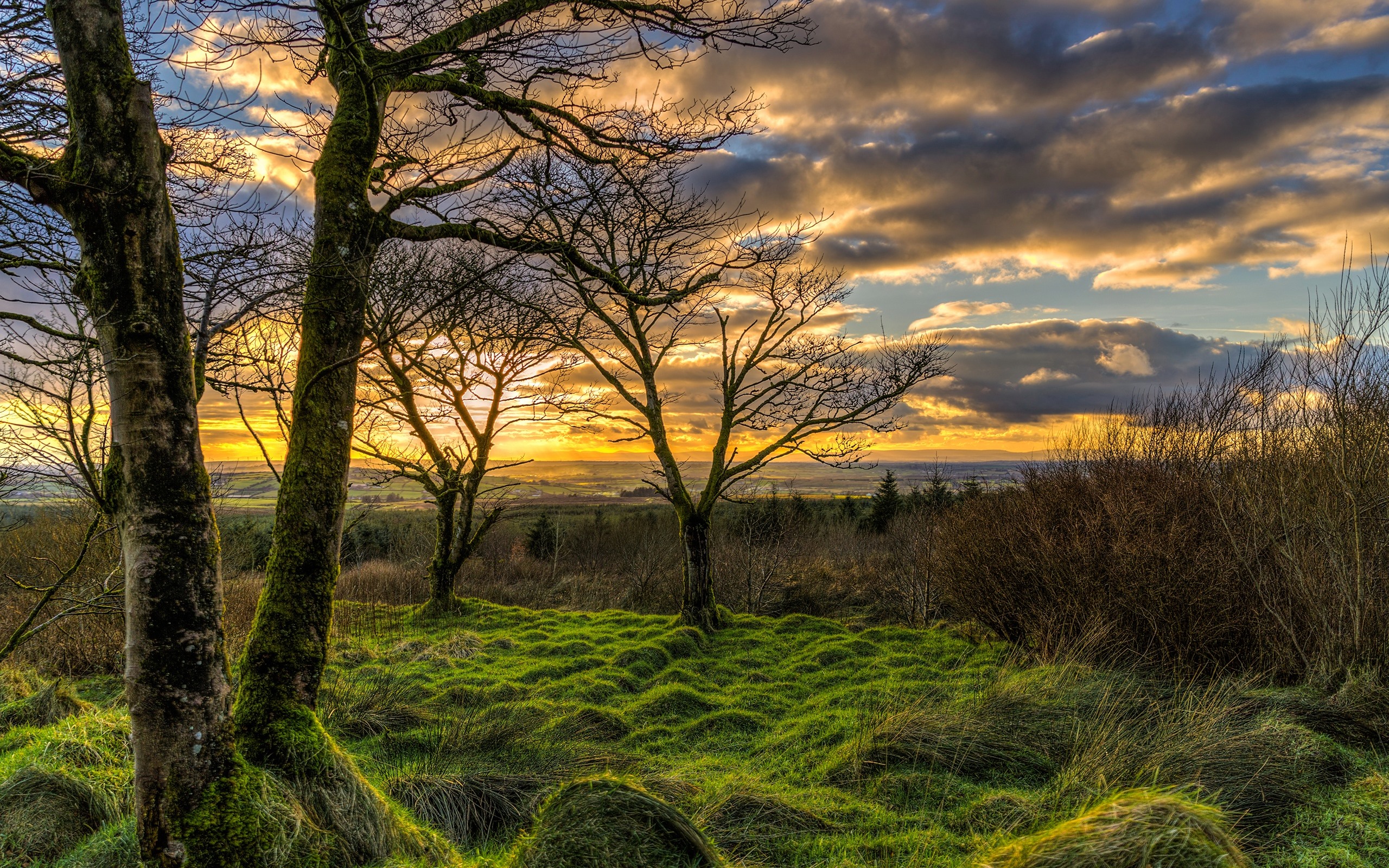 Wallpaper Northern Ireland, Uk, Nature Landscape, Grass, - Northern Ireland Desktop - HD Wallpaper 