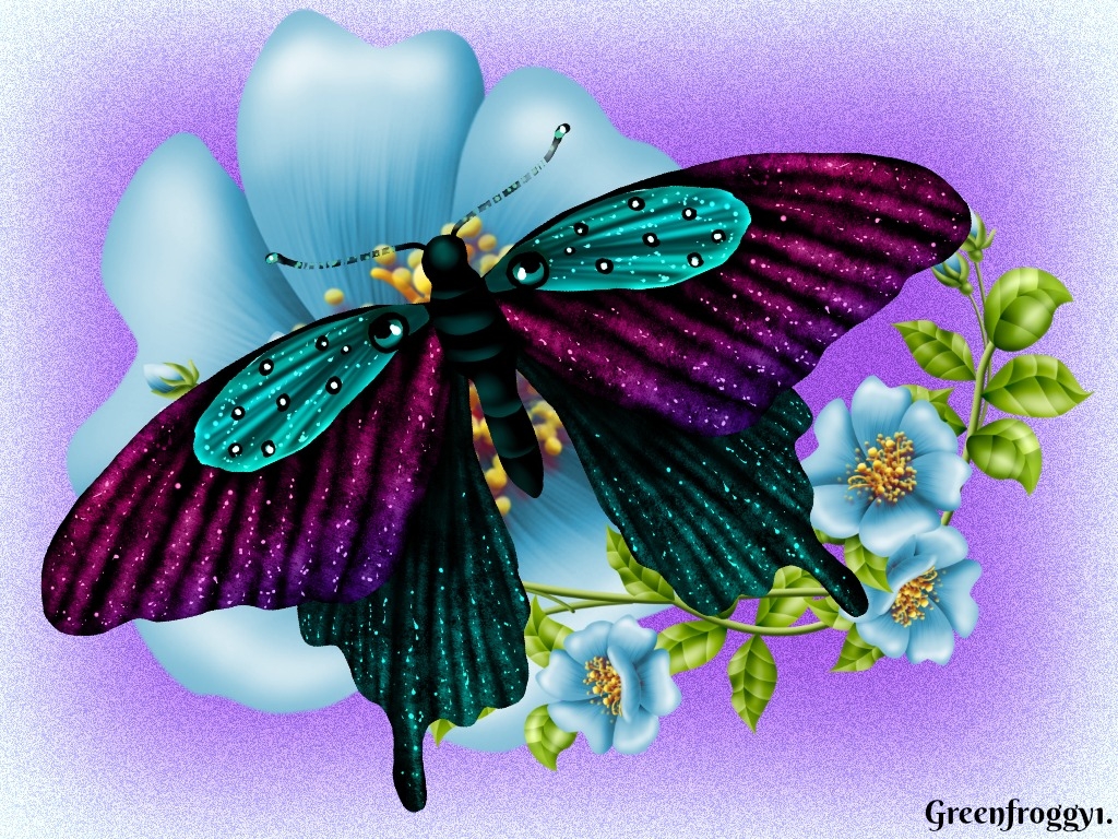 Butterfly - Illustration - HD Wallpaper 