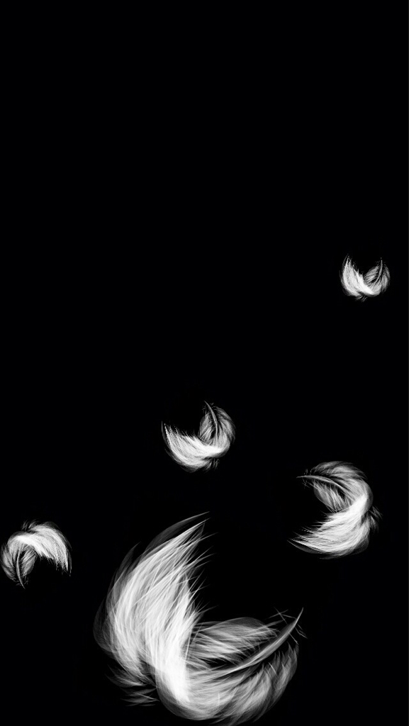 Wallpaper, Black, And Feather Image - Feather Wallpaper Black And White - HD Wallpaper 