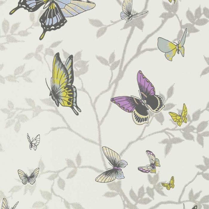 Papel Pintado Mariposas - HD Wallpaper 